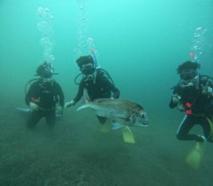 DCIM100GOPROGOPR8020.JPG