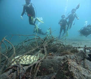 DCIM100GOPROGOPR8031.JPG