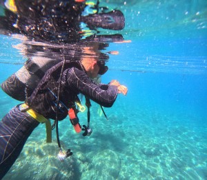 DCIM100GOPROGOPR8114.JPG