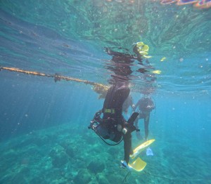 DCIM100GOPROGOPR8174.JPG