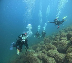 DCIM100GOPROGOPR8202.JPG