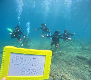 DCIM100GOPROGOPR8229.JPG