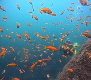 DCIM100GOPROGOPR8337.JPG