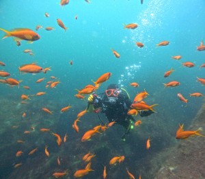 DCIM100GOPROGOPR8342.JPG