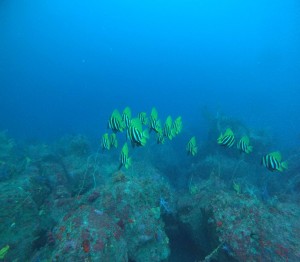 DCIM100GOPROGOPR8382.JPG