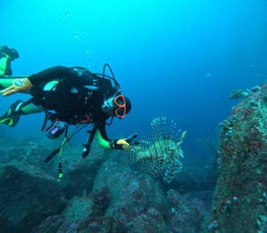 DCIM100GOPROGOPR8391.JPG