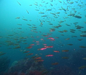 DCIM100GOPROGOPR8404.JPG