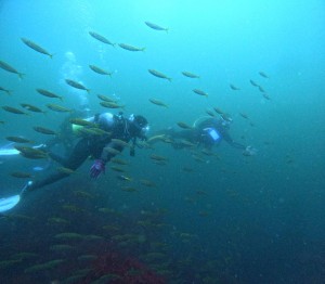 DCIM100GOPROGOPR8424.JPG