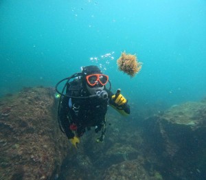 DCIM100GOPROGOPR8429.JPG
