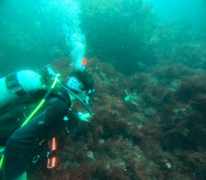 DCIM100GOPROGOPR8484.JPG