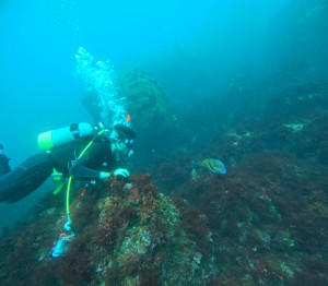 DCIM100GOPROGOPR8491.JPG