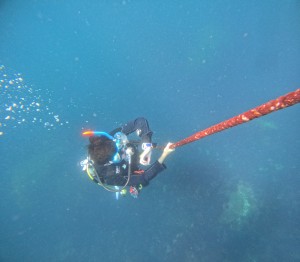 DCIM100GOPROGOPR8494.JPG