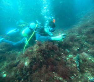 DCIM100GOPROGOPR8497.JPG
