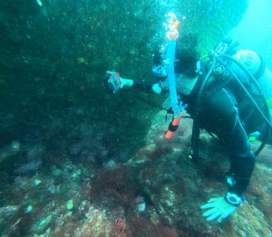 DCIM100GOPROGOPR8499.JPG