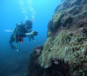 DCIM100GOPROGOPR8504.JPG