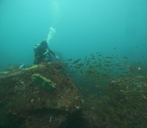 DCIM100GOPROGOPR8517.JPG