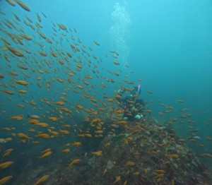 DCIM100GOPROGOPR8522.JPG