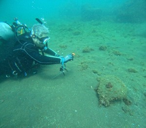 DCIM100GOPROGOPR8648.JPG