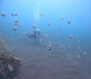 DCIM100GOPROGOPR8665.JPG