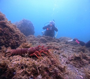 DCIM100GOPROGOPR8669.JPG