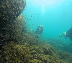 DCIM100GOPROGOPR8674.JPG