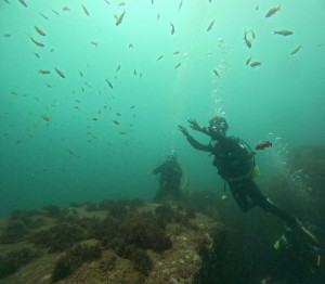 DCIM100GOPROGOPR8687.JPG