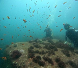 DCIM100GOPROGOPR8689.JPG