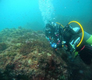 DCIM100GOPROGOPR8698.JPG