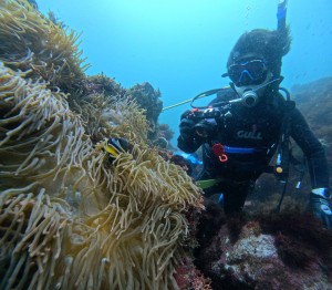 DCIM100GOPROGOPR8816.JPG