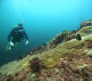 DCIM100GOPROGOPR8822.JPG