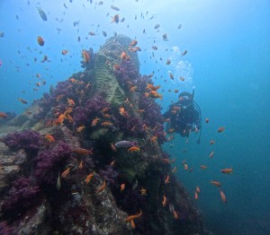 DCIM100GOPROGOPR8829.JPG