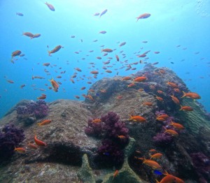 DCIM100GOPROGOPR8838.JPG
