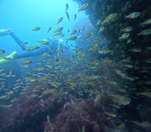 DCIM100GOPROGOPR8847.JPG