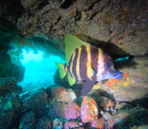 DCIM100GOPROGOPR8855.JPG