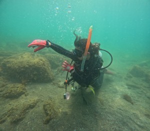 DCIM100GOPROGOPR8867.JPG