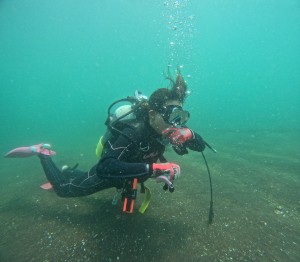 DCIM100GOPROGOPR8891.JPG