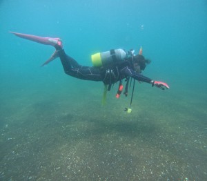 DCIM100GOPROGOPR8903.JPG