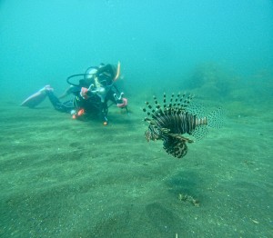 DCIM100GOPROGOPR8928.JPG