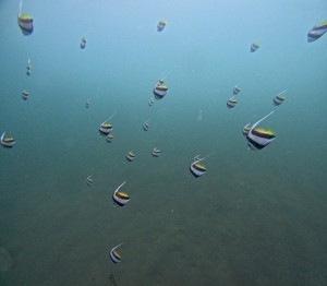 DCIM100GOPROGOPR8940.JPG