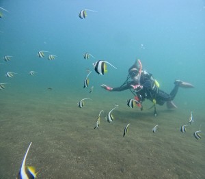 DCIM100GOPROGOPR8948.JPG
