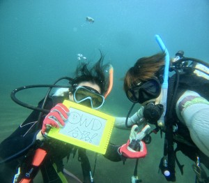 DCIM100GOPROGOPR8972.JPG