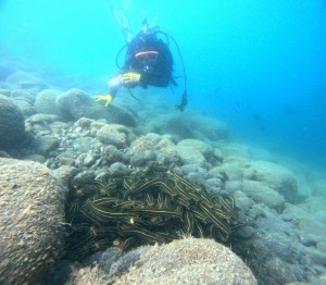 DCIM100GOPROGOPR9035.JPG