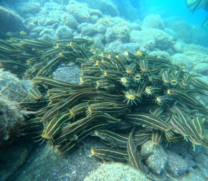 DCIM100GOPROGOPR9043.JPG