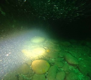 DCIM100GOPROGOPR9094.JPG