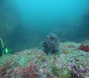 DCIM100GOPROGOPR9131.JPG