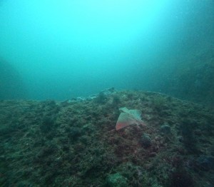 DCIM100GOPROGOPR9158.JPG