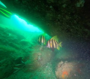 DCIM100GOPROGOPR9226.JPG