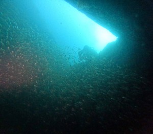 DCIM100GOPROGOPR9257.JPG
