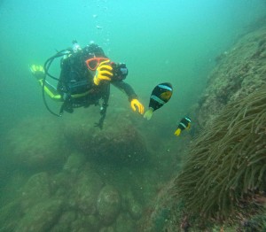 DCIM100GOPROGOPR9295.JPG