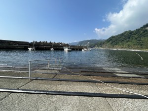 IMG_0711
